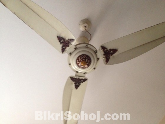 GFC Ceiling Fan